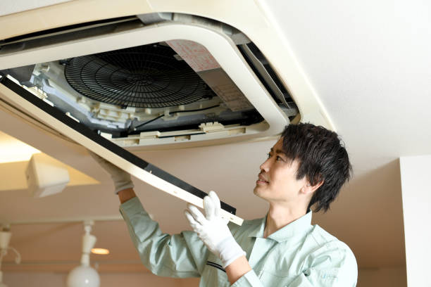 Best Ductwork Cleaning Services  in Zapata, TX