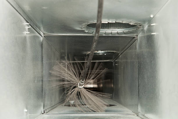 Best Air Duct Cleaning Near Me  in Zapata, TX