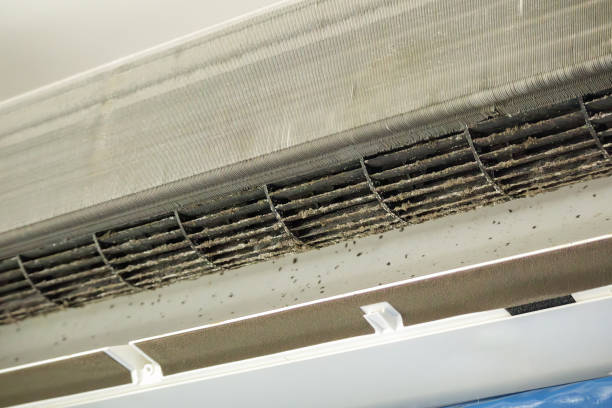 Best Dryer Vent Cleaning Services  in Zapata, TX