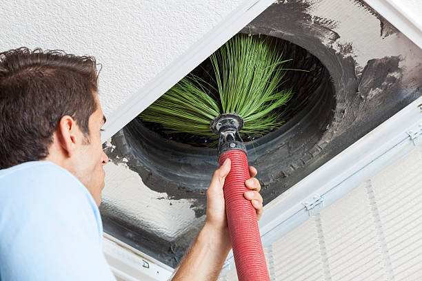 Best Home Air Vent Cleaning  in Zapata, TX